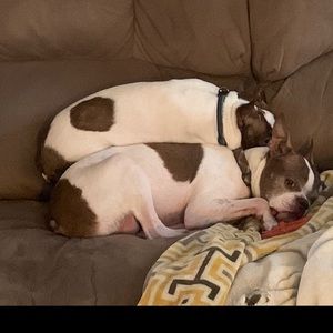 Meet your Posher, Tamara